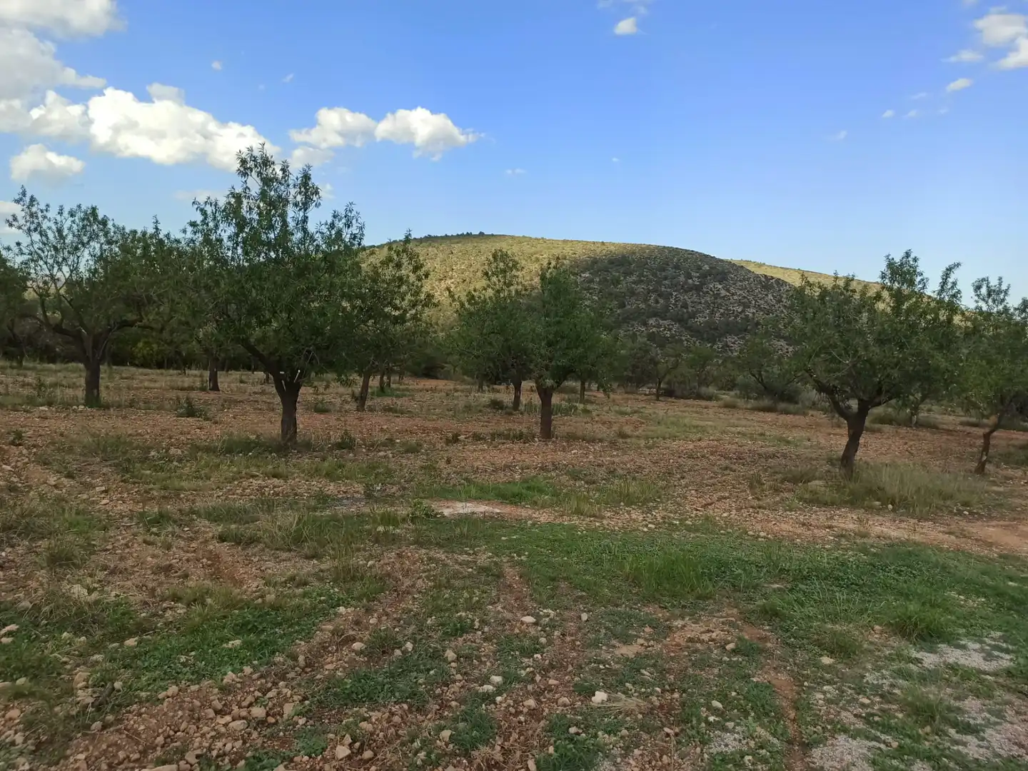 Terrain rustique à vendre à Villar del Arzobispo, imagen 5