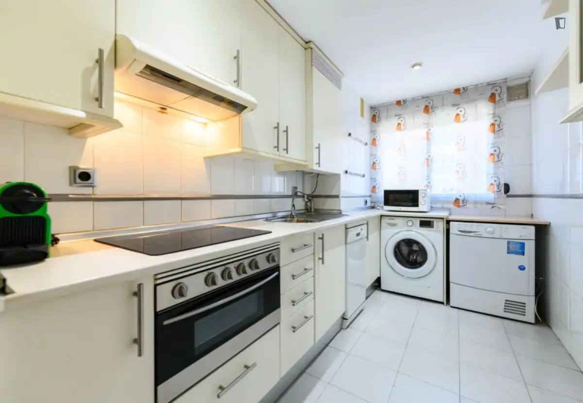 Kitchen of Apartments for rent in Madrid  with Air Conditioner, Heating and Furnished