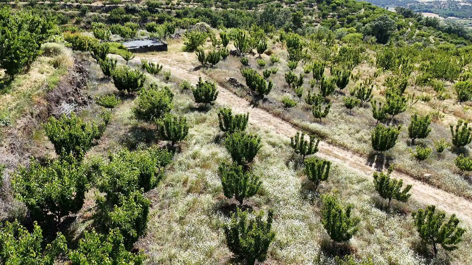 Terreni e lotti in vendita a Urbanizacion el Pajarejo