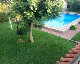 Piscina de Casa o xalet en venda en Sanlúcar de Barrameda amb Jardí privat, Terrassa i Traster