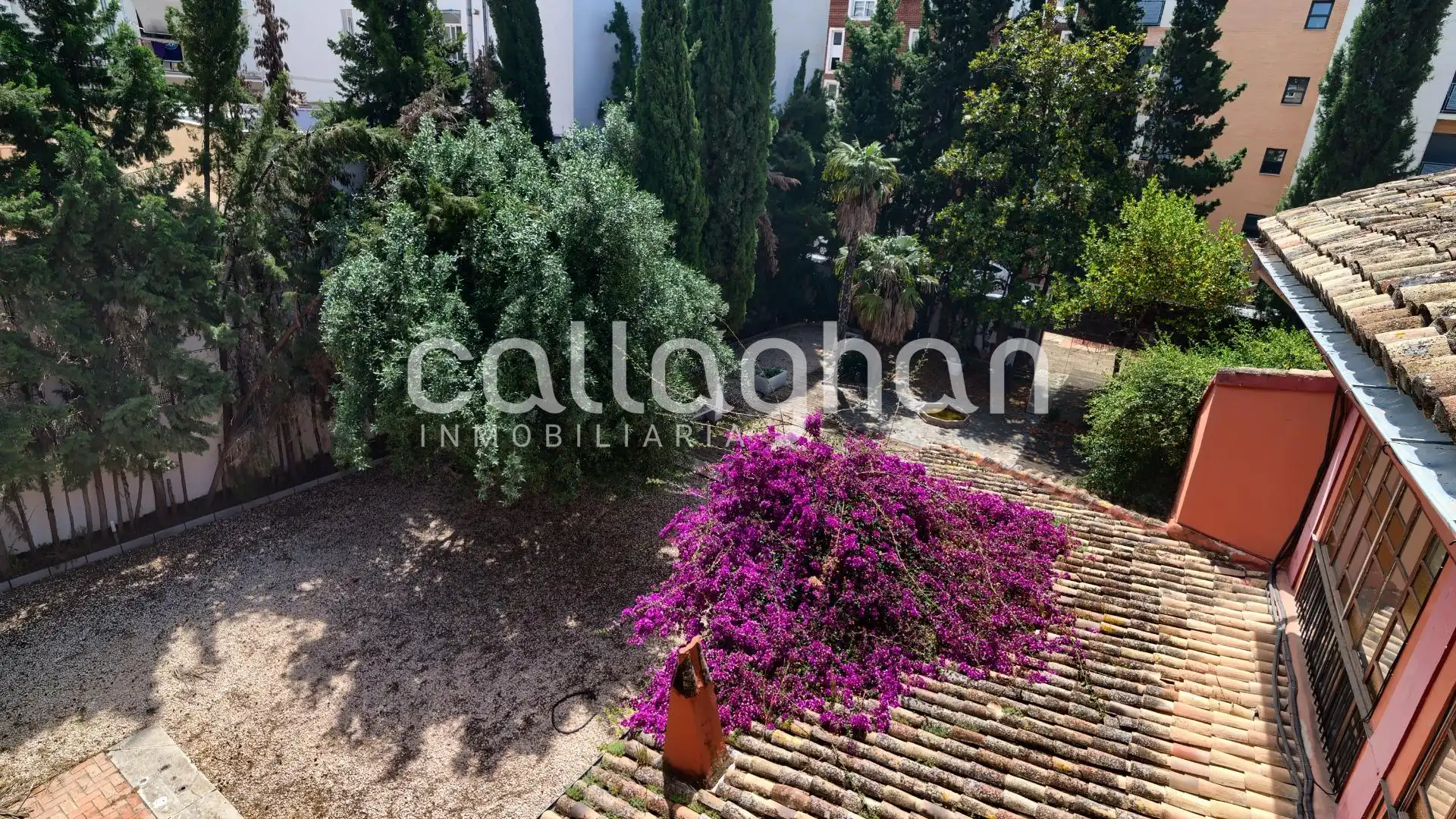Residenziale in vendita a Avenida MURTA, imagen 34