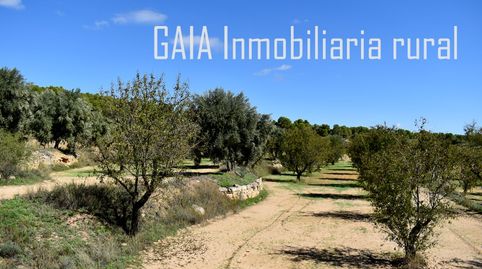 Immagine 4 dell'annuncio