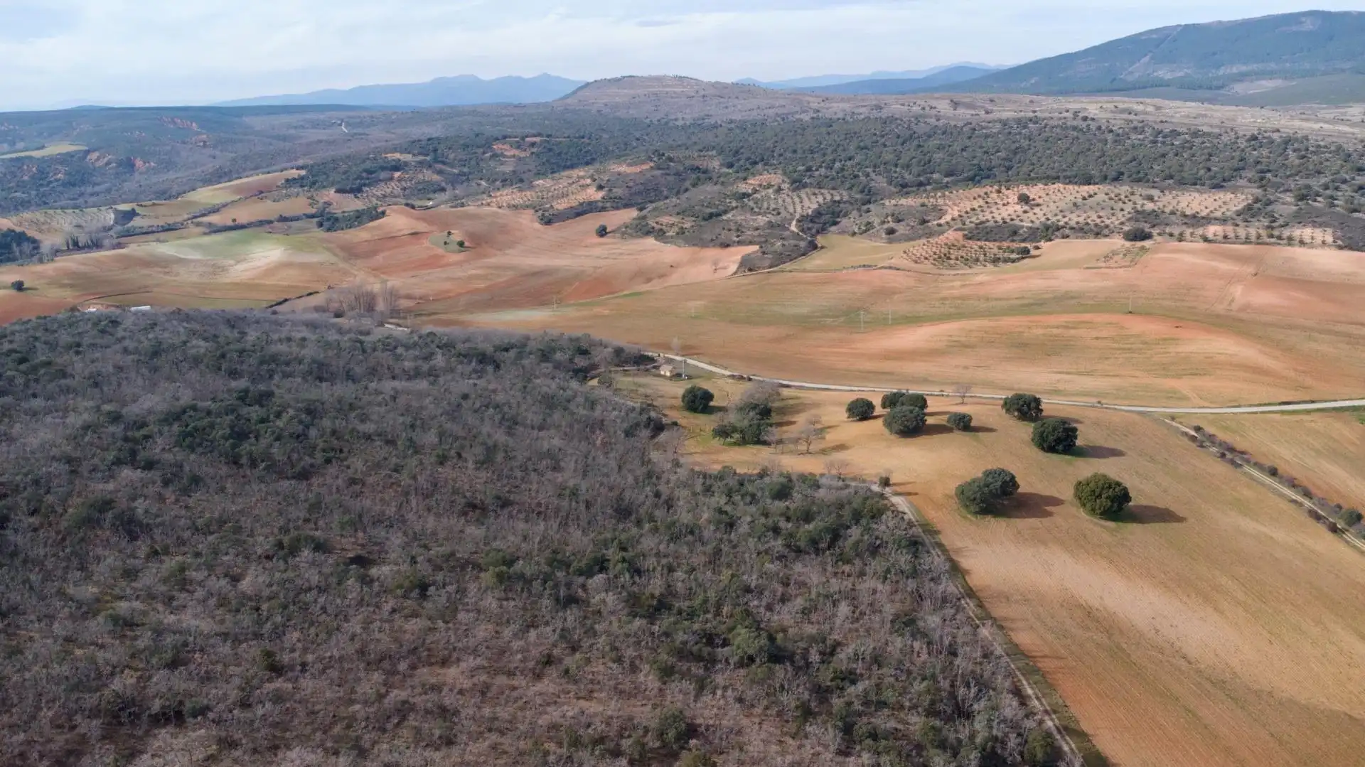 Land for sale in Arbancón