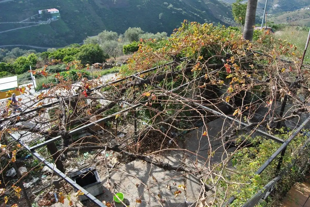 Jardín de Casa o chalet en venta en Cómpeta con Jardín privado, Terraza y Trastero
