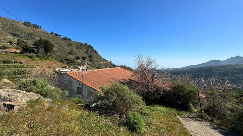 Foto 2 de Casa o chalet en venta en Calle Llanos de la Cumbre, Vega de San Mateo, Las Palmas