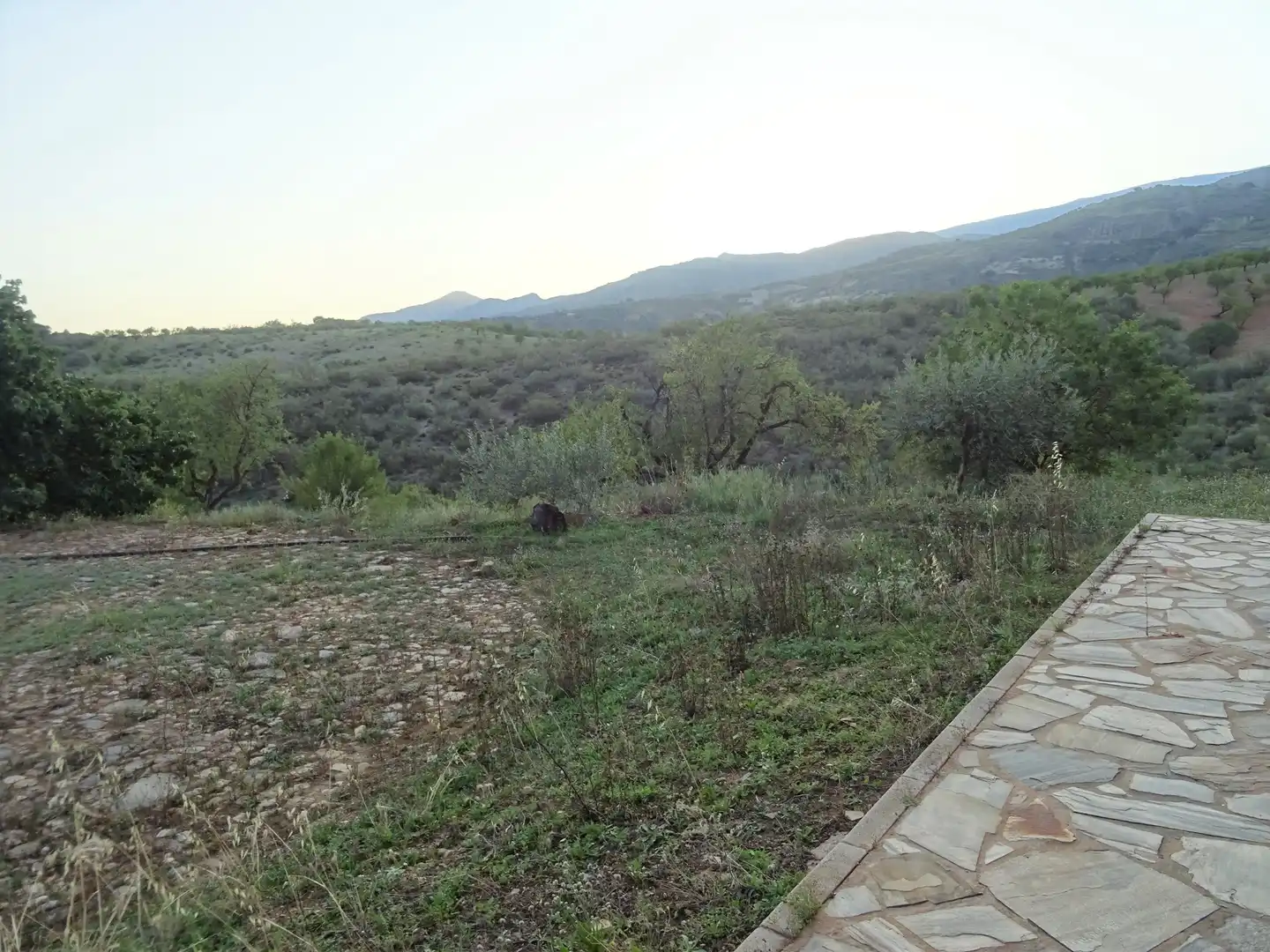 Country homes for sale in Lobras
