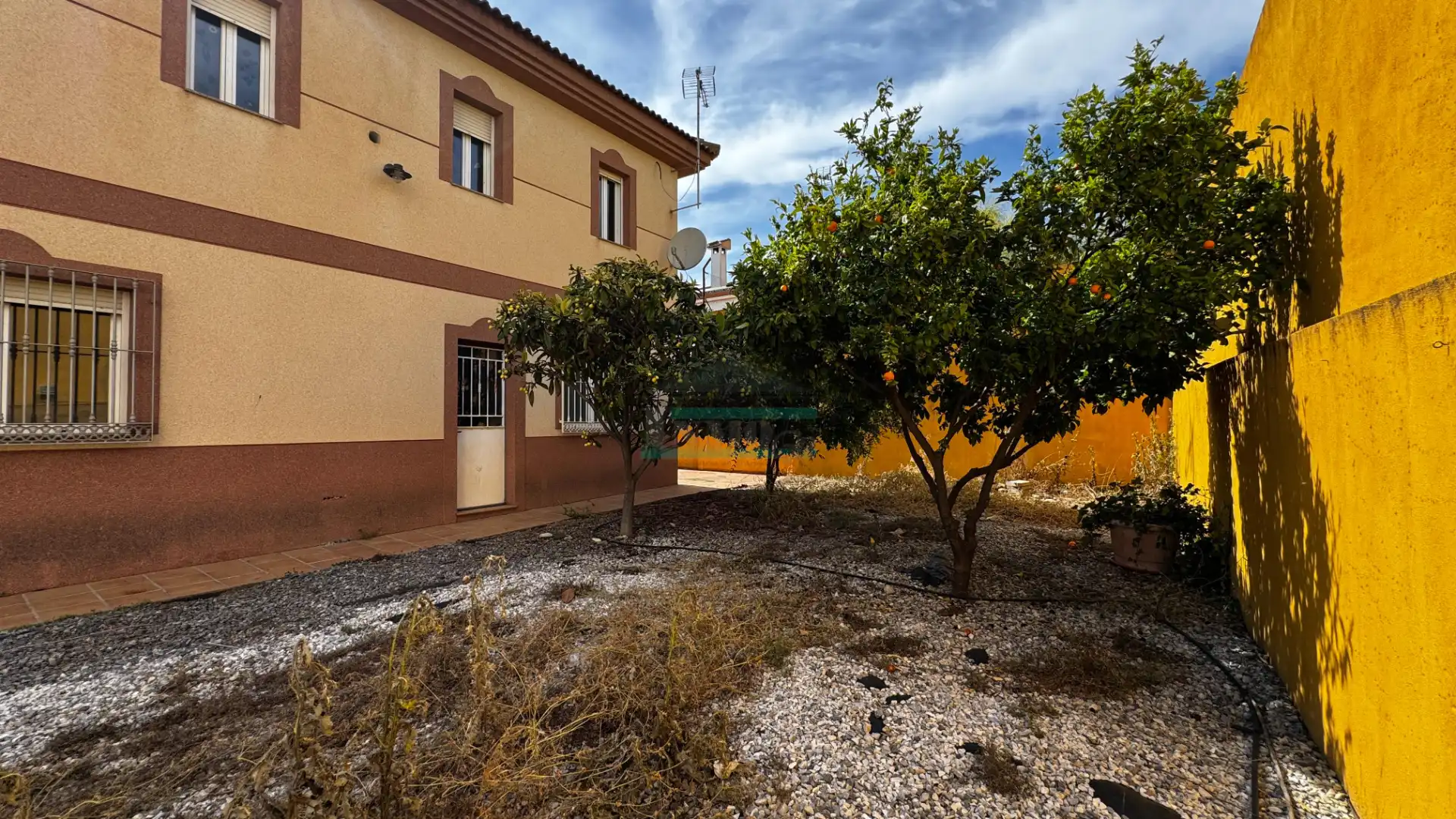 Vista exterior de Casa o chalet en venta en Láchar con Jardín privado, Terraza y Piscina