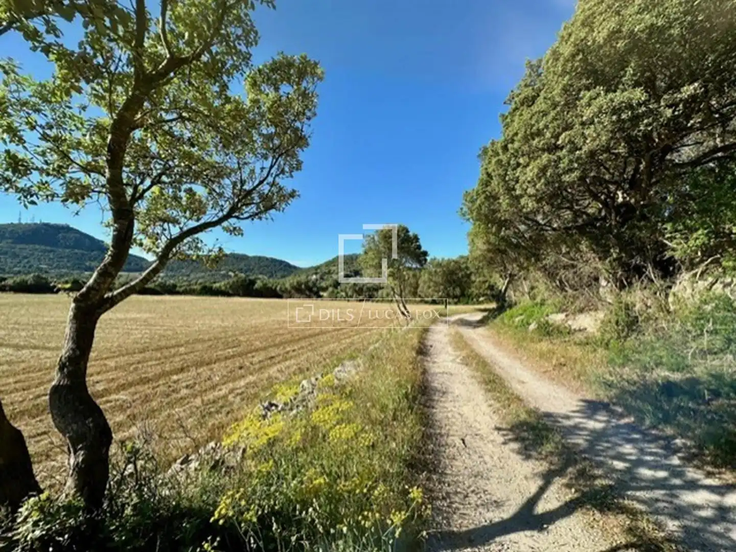 Casa rústica con jardín en venta en Es Mercadal poble, imagen 12