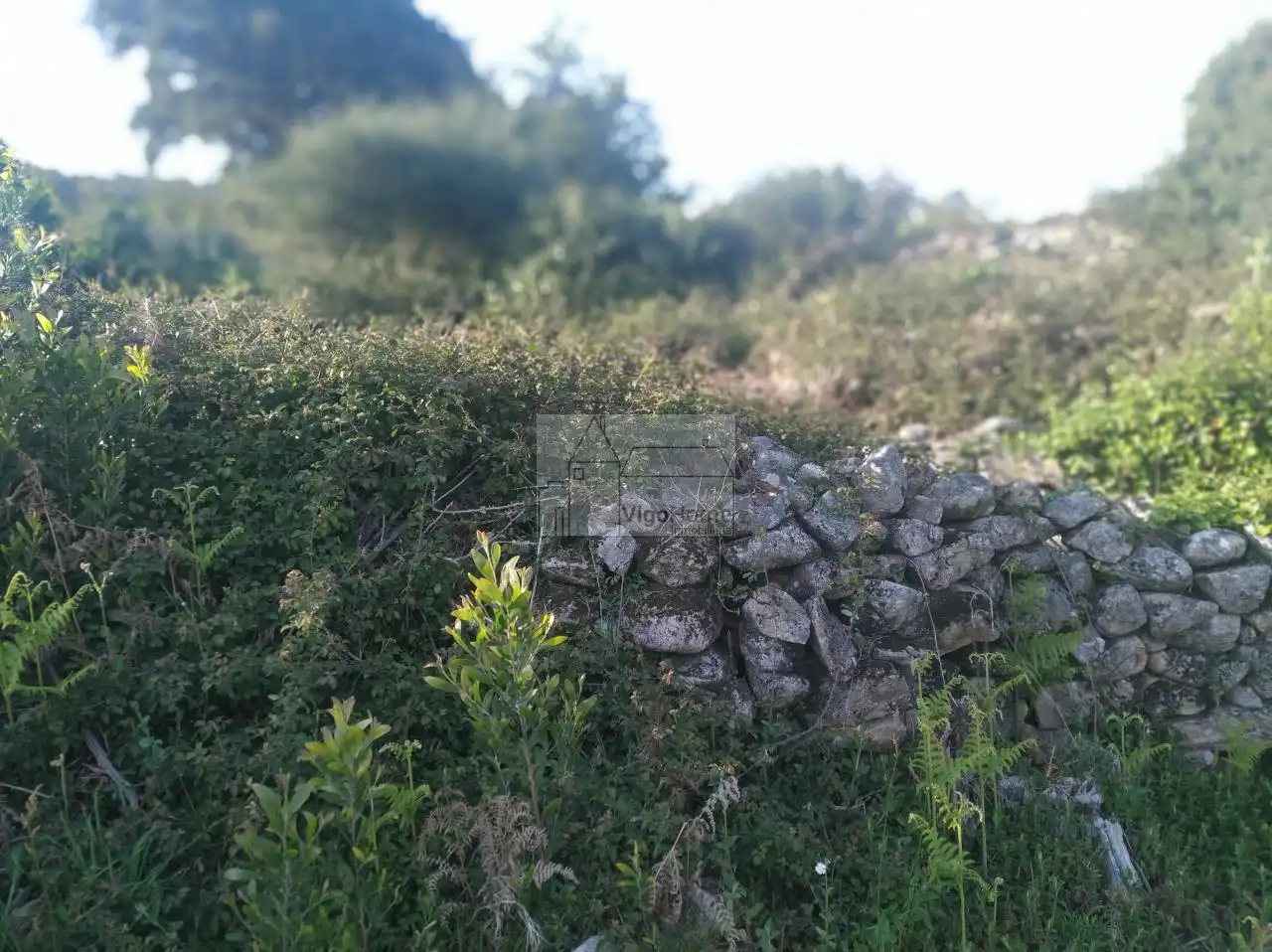 Wohnbaugrundstück zum Verkauf in CARBALLIDO .DOMAIO 21A, imagen 22