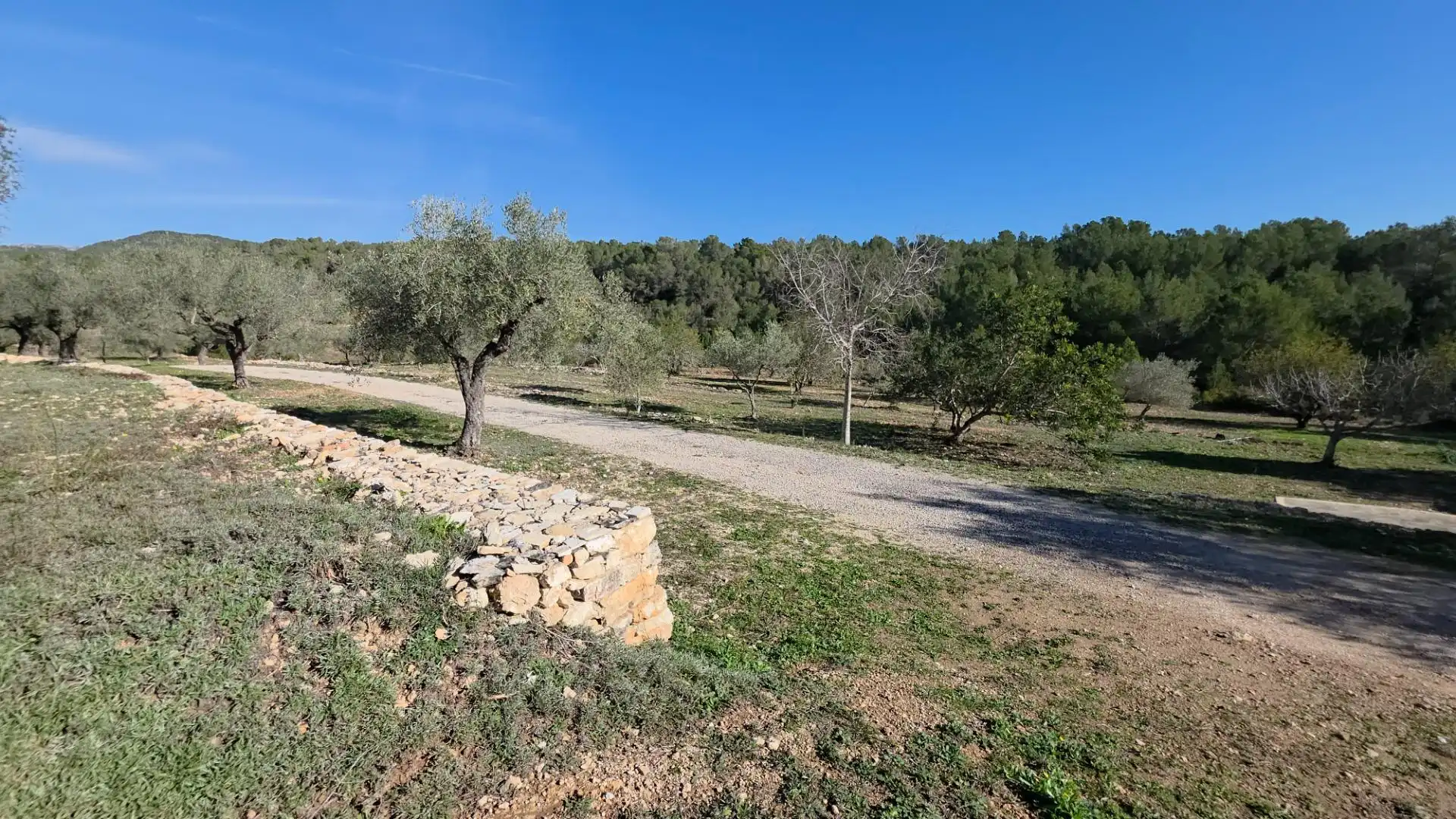 Casa rustica in vendita a Tivissa, imagen 40