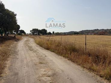 Rural land for sale in Carretera Madrid-Lisboa