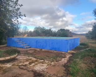 Piscina de Finca rústica en venda en Argamasilla de Calatrava amb Terrassa, Traster i Piscina