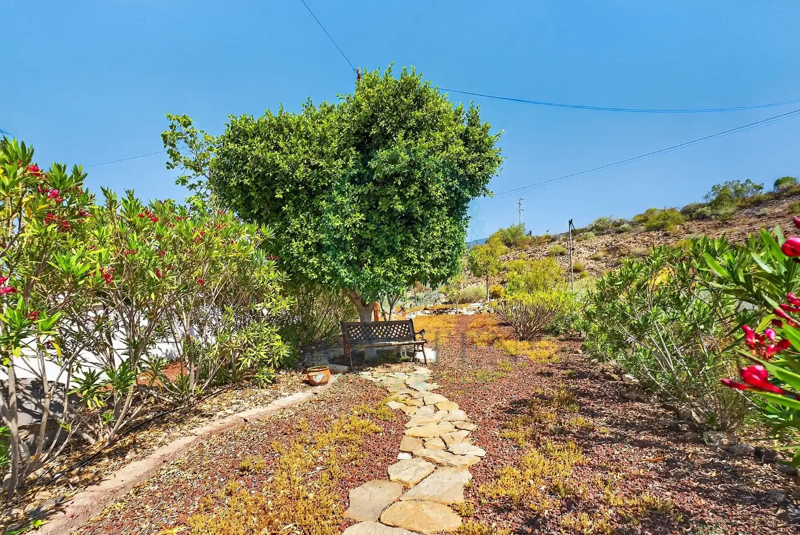 House with garden for sale in Playa de San Juan, imagen 25