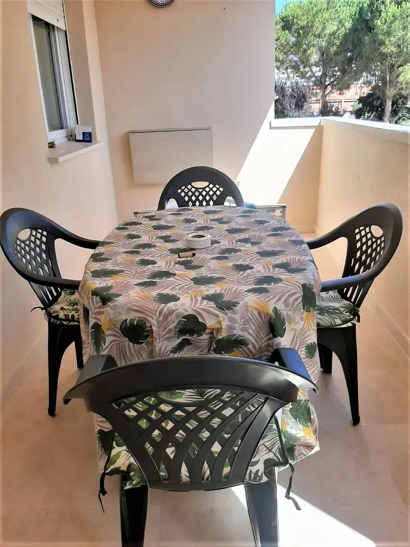 Apartments for rent in Centro
