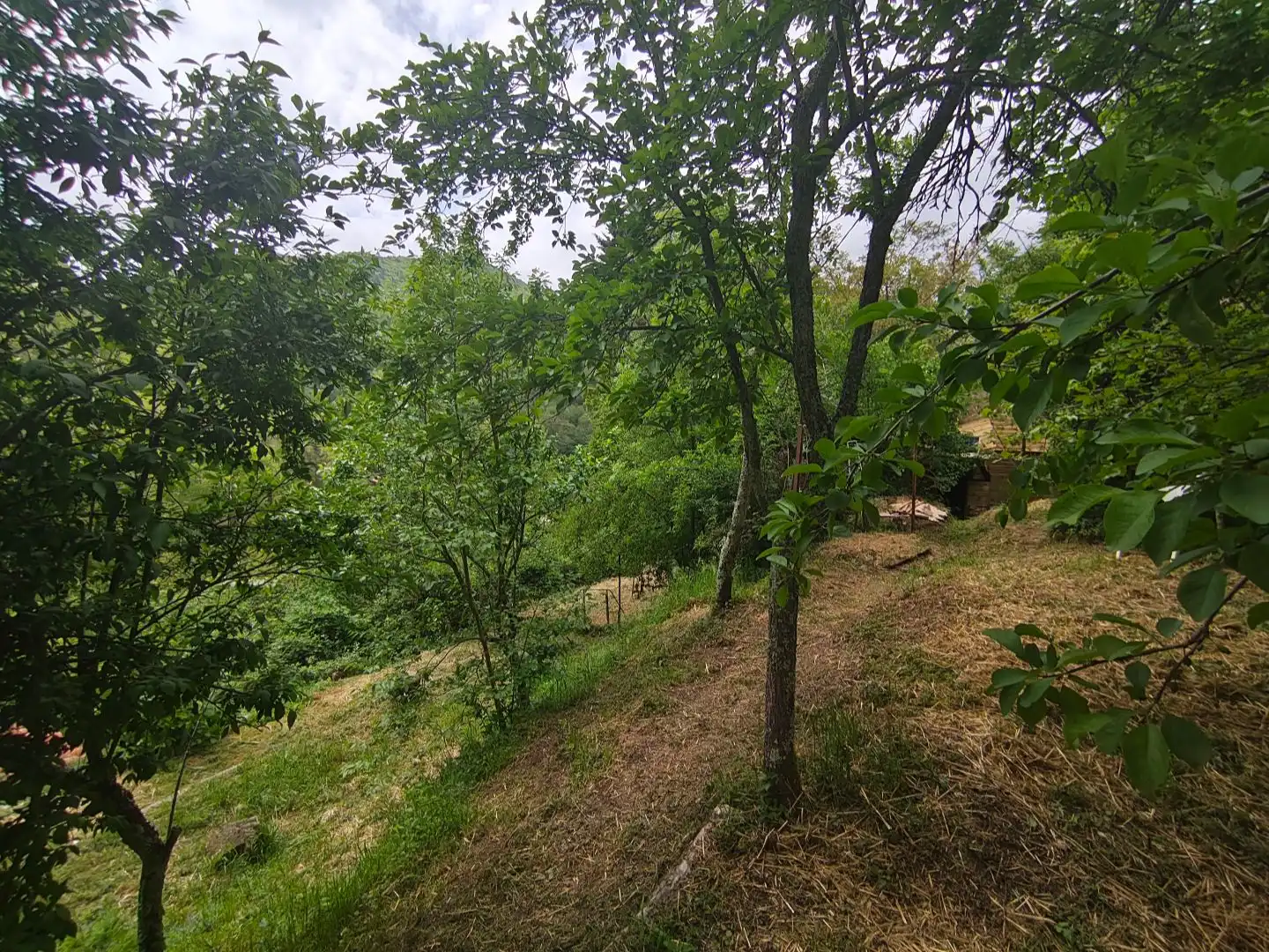 Villa avec jardin à vendre à C-38 39, imagen 32