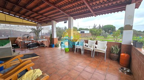 Photo 2 of Houses for sale in Gibraleón, Huelva