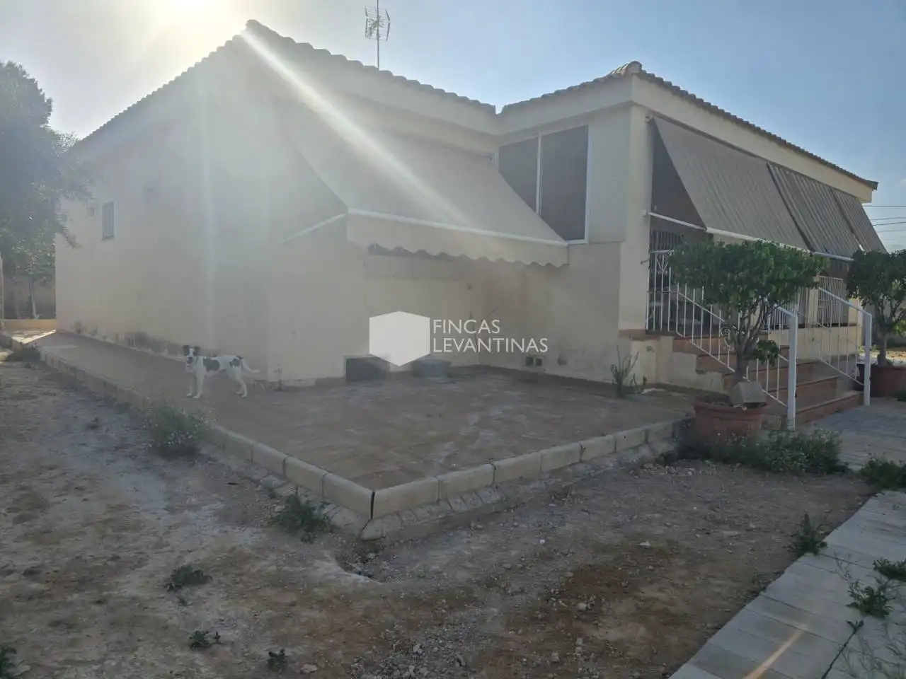Vista exterior de Casa o xalet en venda en Alicante / Alacant amb Jardí privat, Terrassa i Piscina