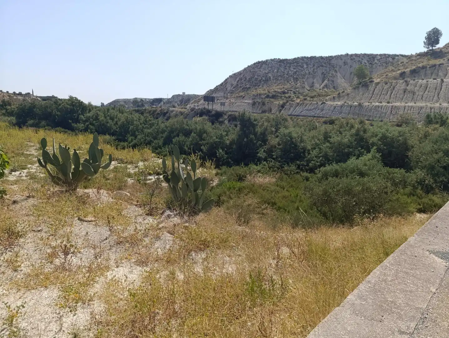 Rustikales Grundstück zum Verkauf in de Morón, imagen 2