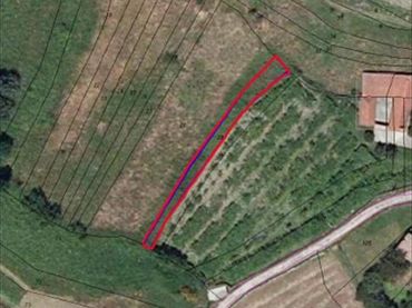 Rural land for sale in Parroquias Rurales
