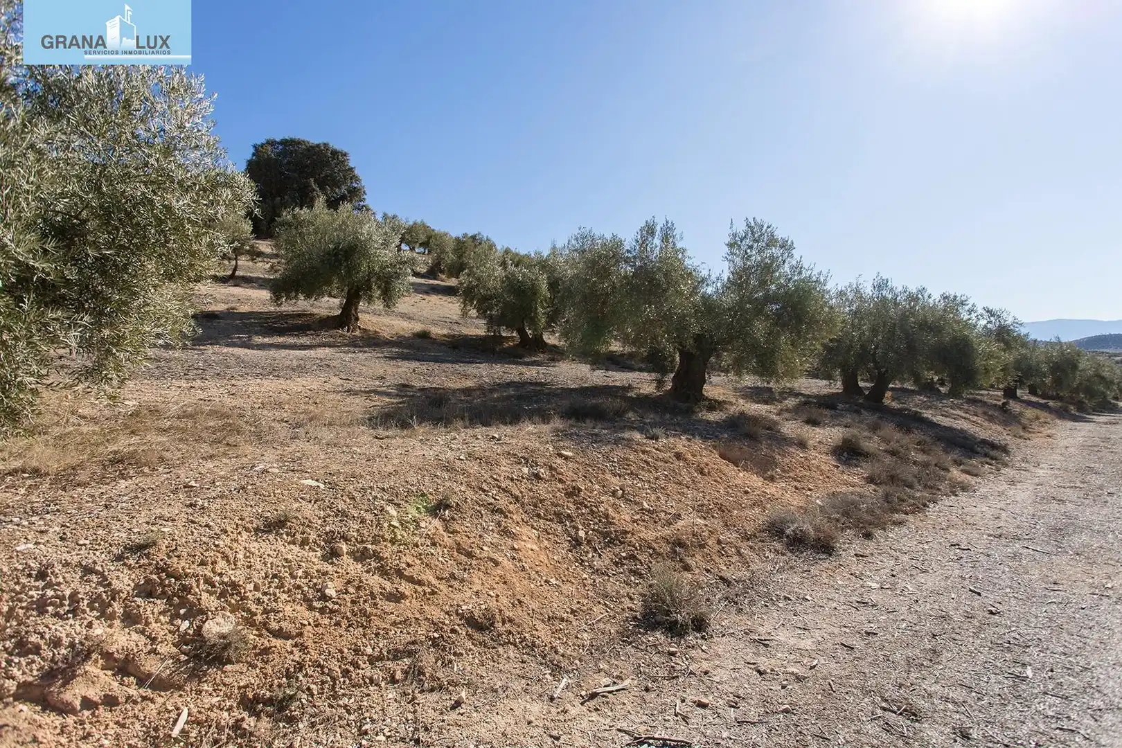 Land for sale in Campotéjar