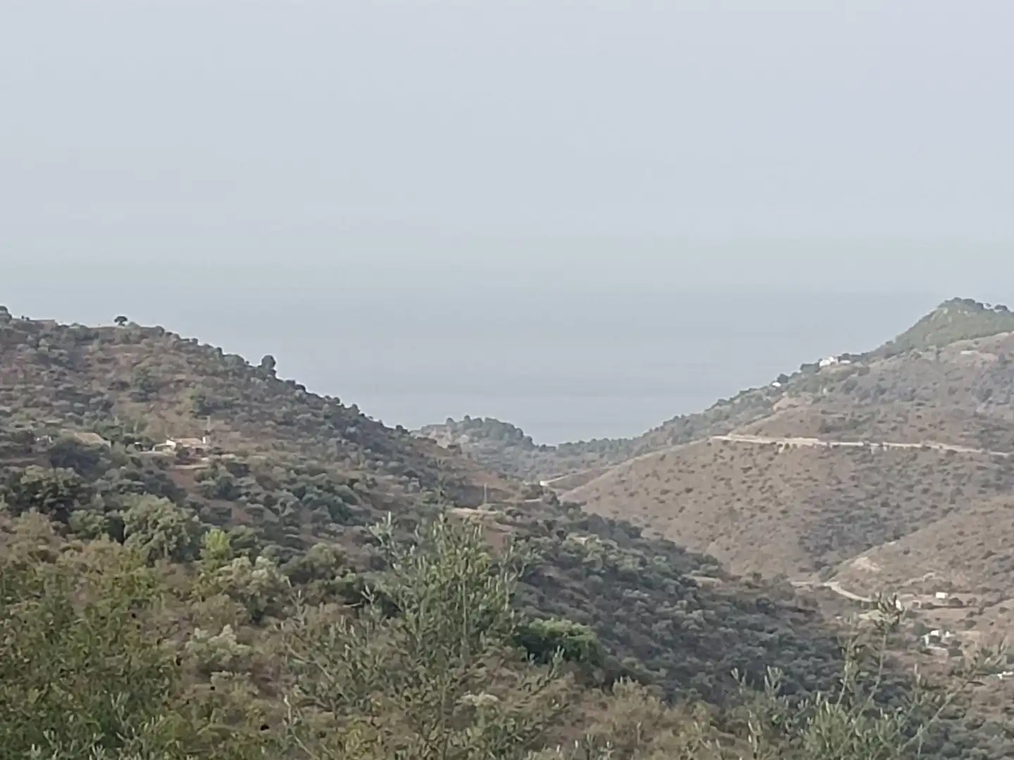 Terreni e lotti in vendita a Este