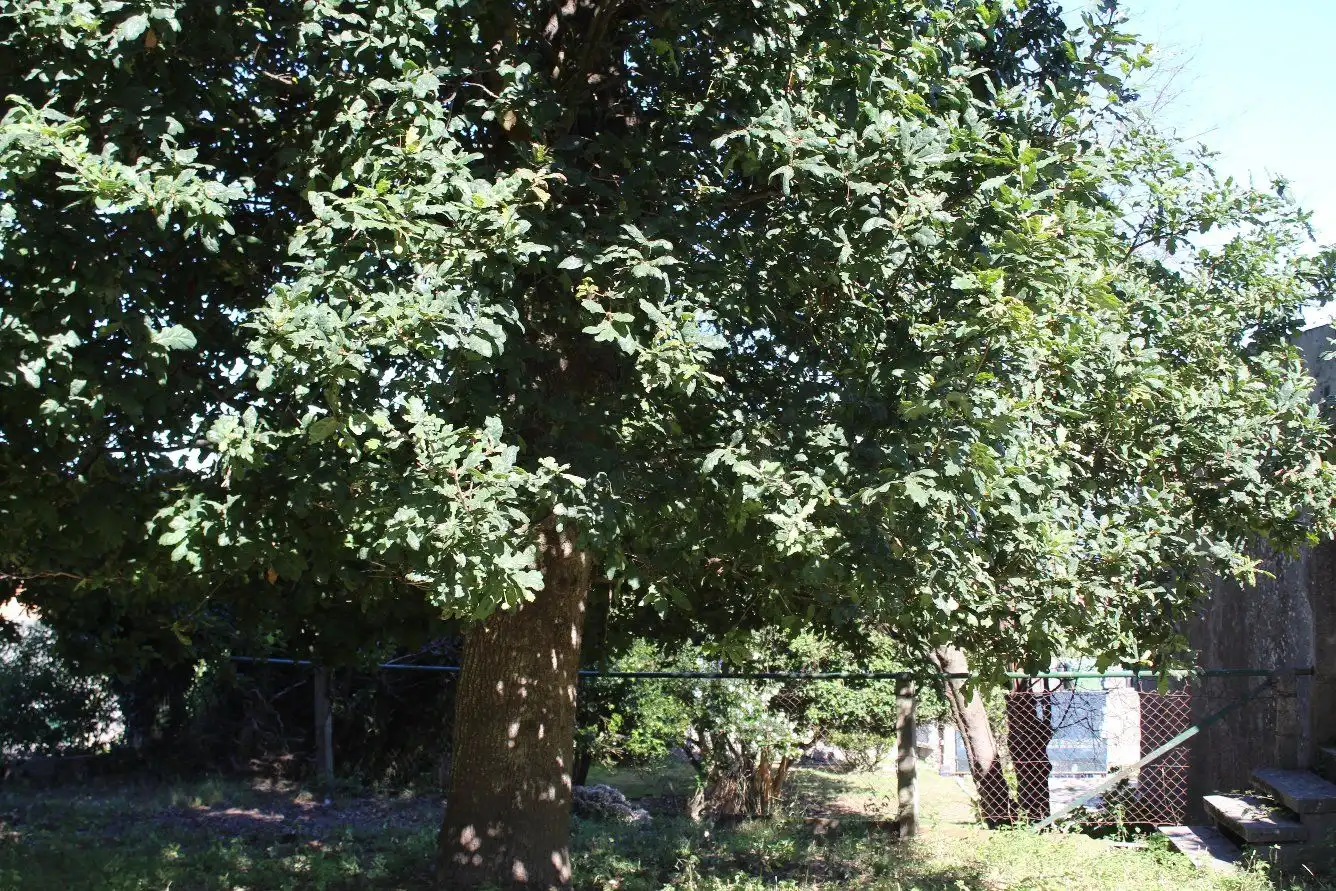 Terreni e lotti in vendita a Coruxo - Oia - Saiáns, imagen 17