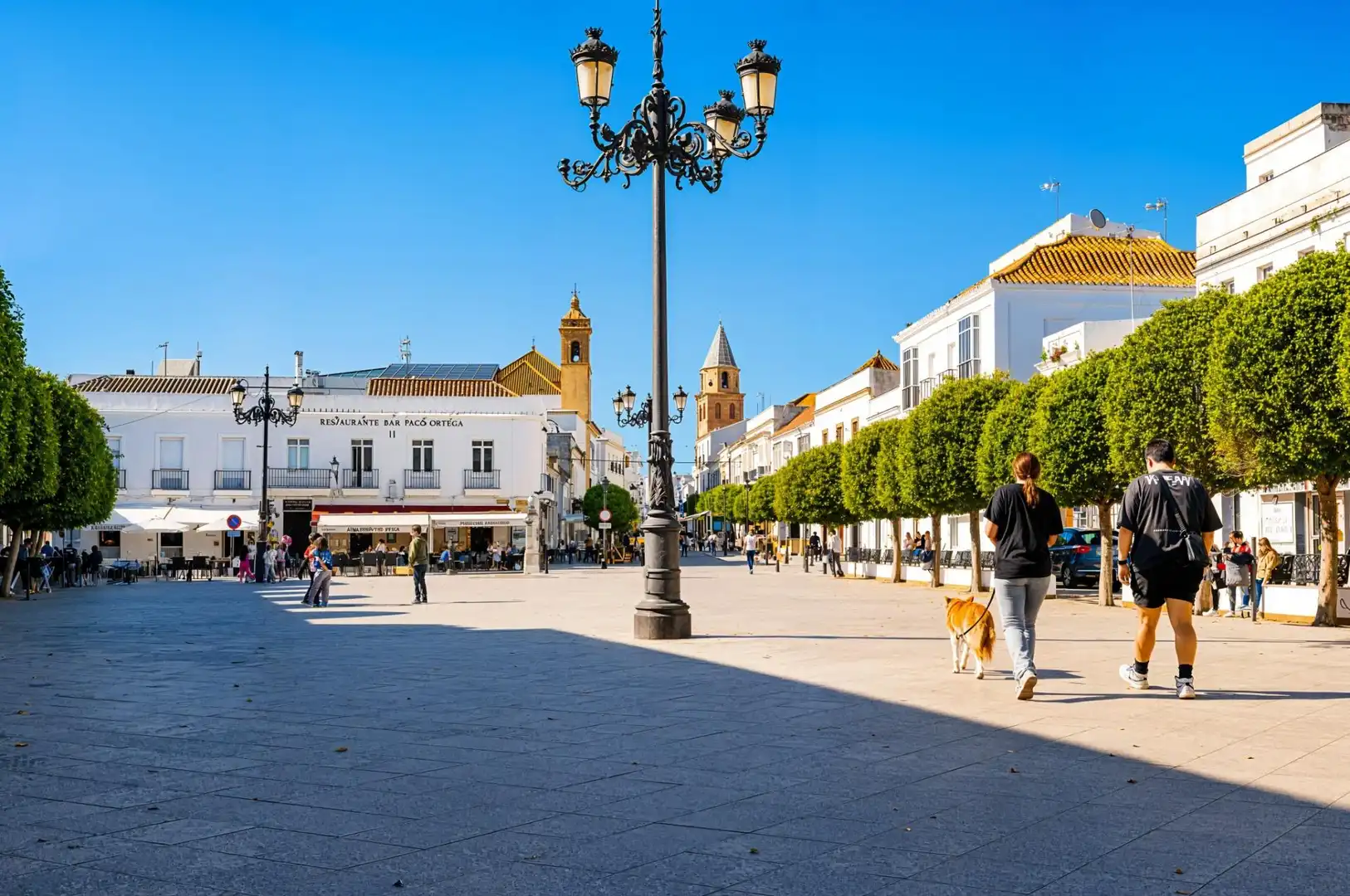 Vista exterior de Casa o chalet en venta en Medina Sidonia con Terraza, Trastero y Balcón