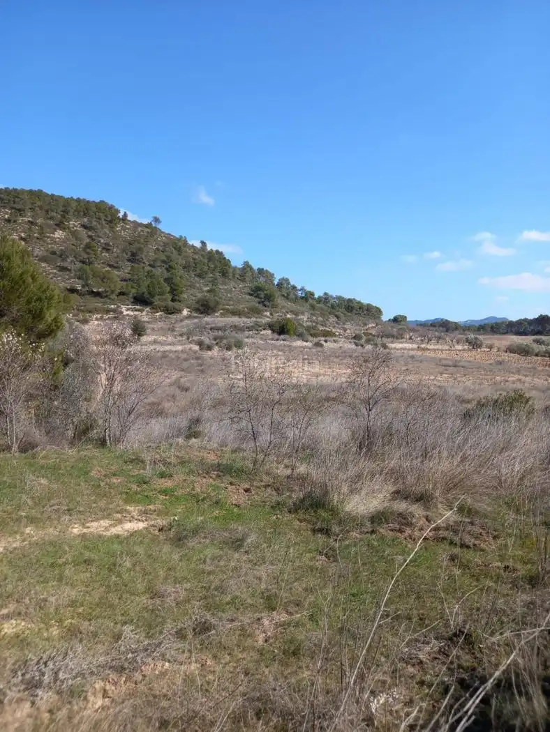 Rustikales Grundstück zum Verkauf in Carrer de l'Església 35, imagen 7