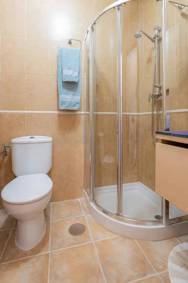 Villa avec jardin à vendre à Calle MUSICA DE LA, imagen 41