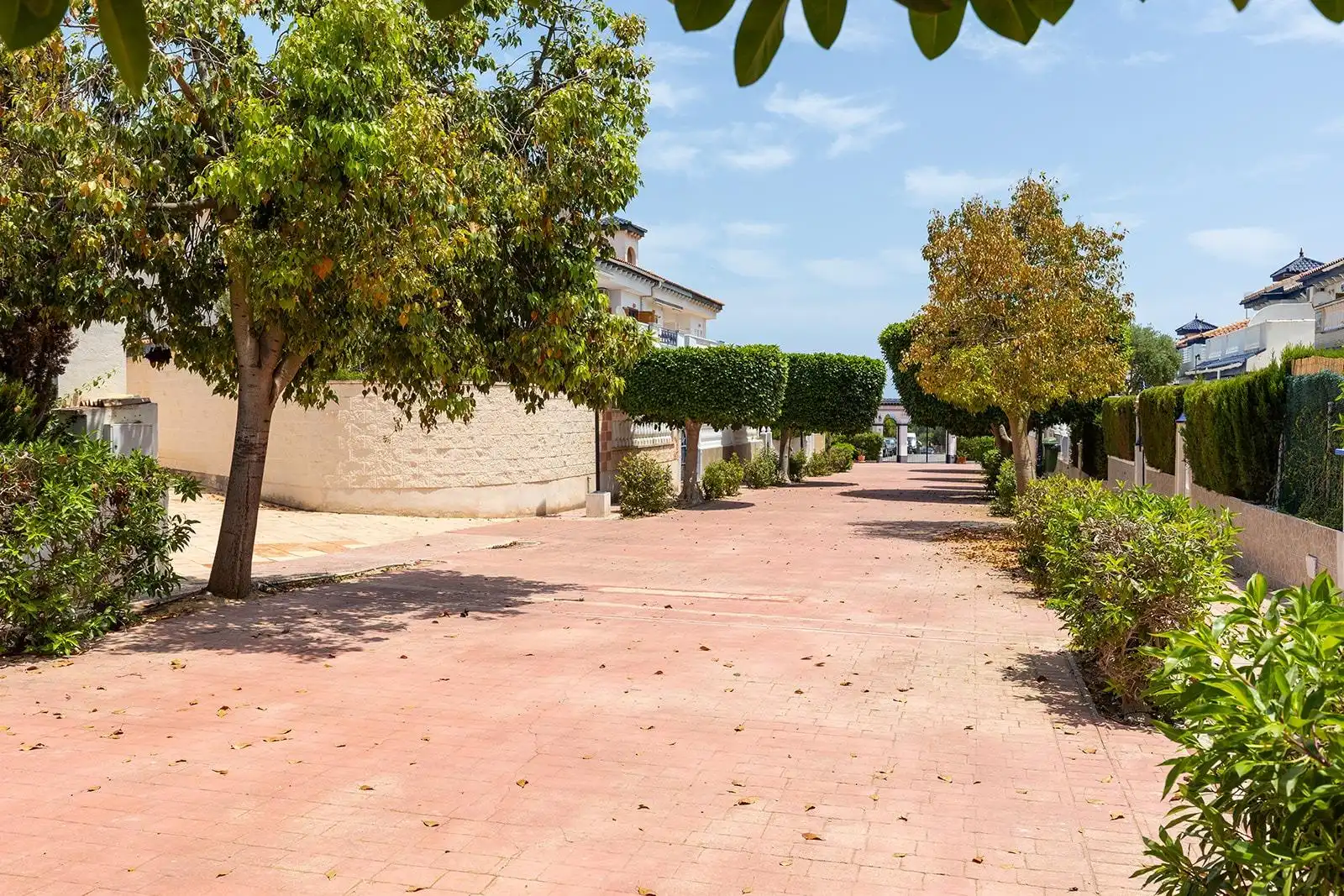 Reihenhaus mit Terrasse zum Verkauf in La Mata, imagen 26
