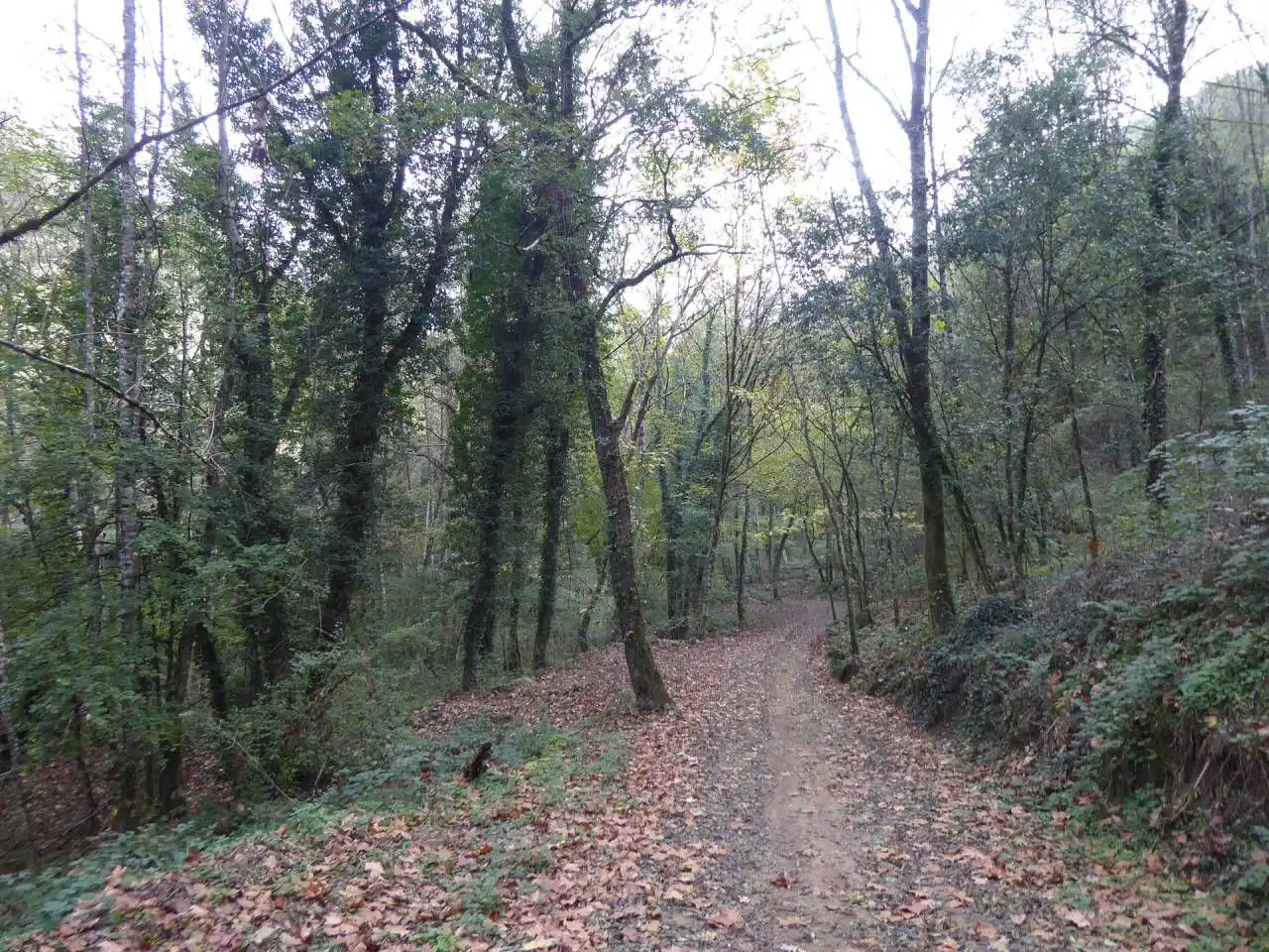 Terreno residenziale in vendita a Vilanova de Sau, imagen 6