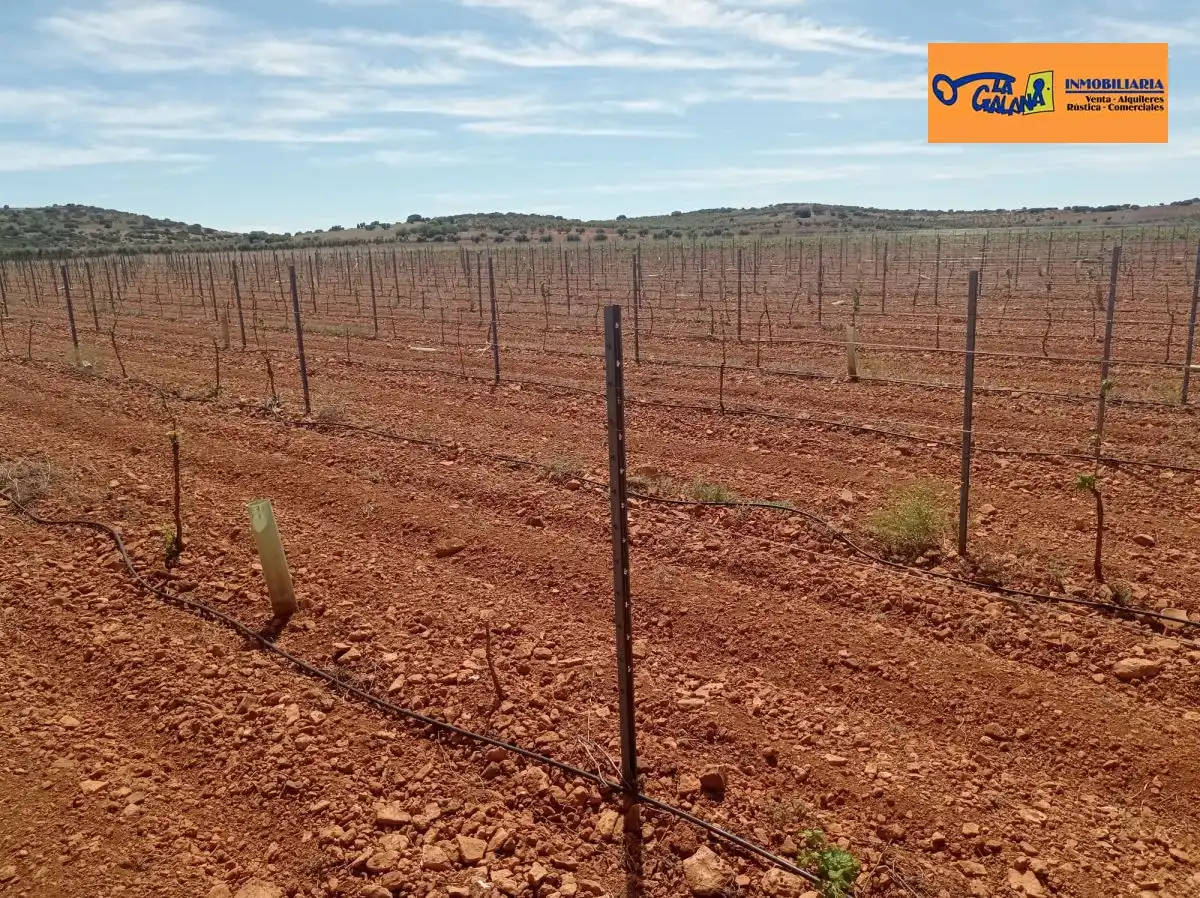 Finca rústica en venda en Torrenueva