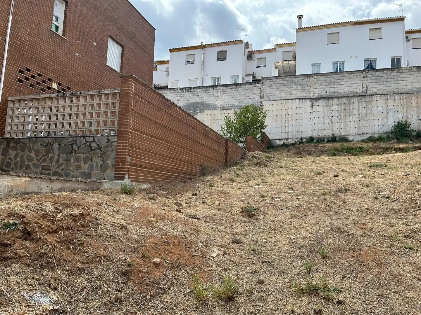Lands and plots for sale in Fuentemora, imagen 3