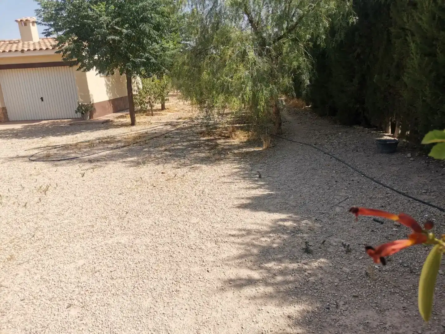 Pis en venda en Hellín amb Piscina