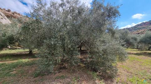 Foto 3 de Terreno en venta en Canjáyar, Almería