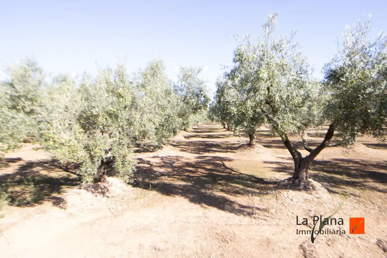 Terreno rustico in vendita a Santa Bàrbara, imagen 9