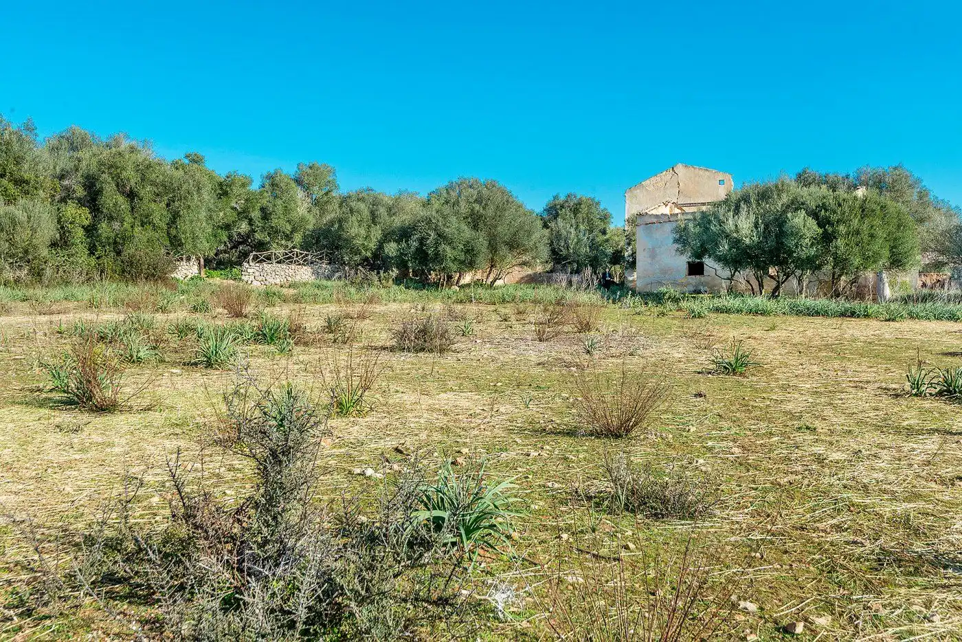 Country homes for sale in Inca