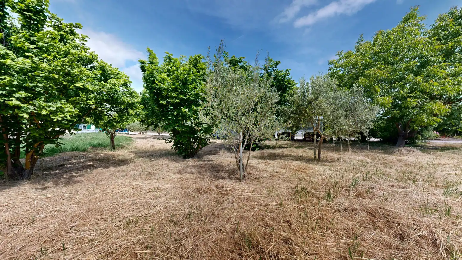 Rural land for sale in Tafalla - PARAJE LA RECUEJA, imagen 63