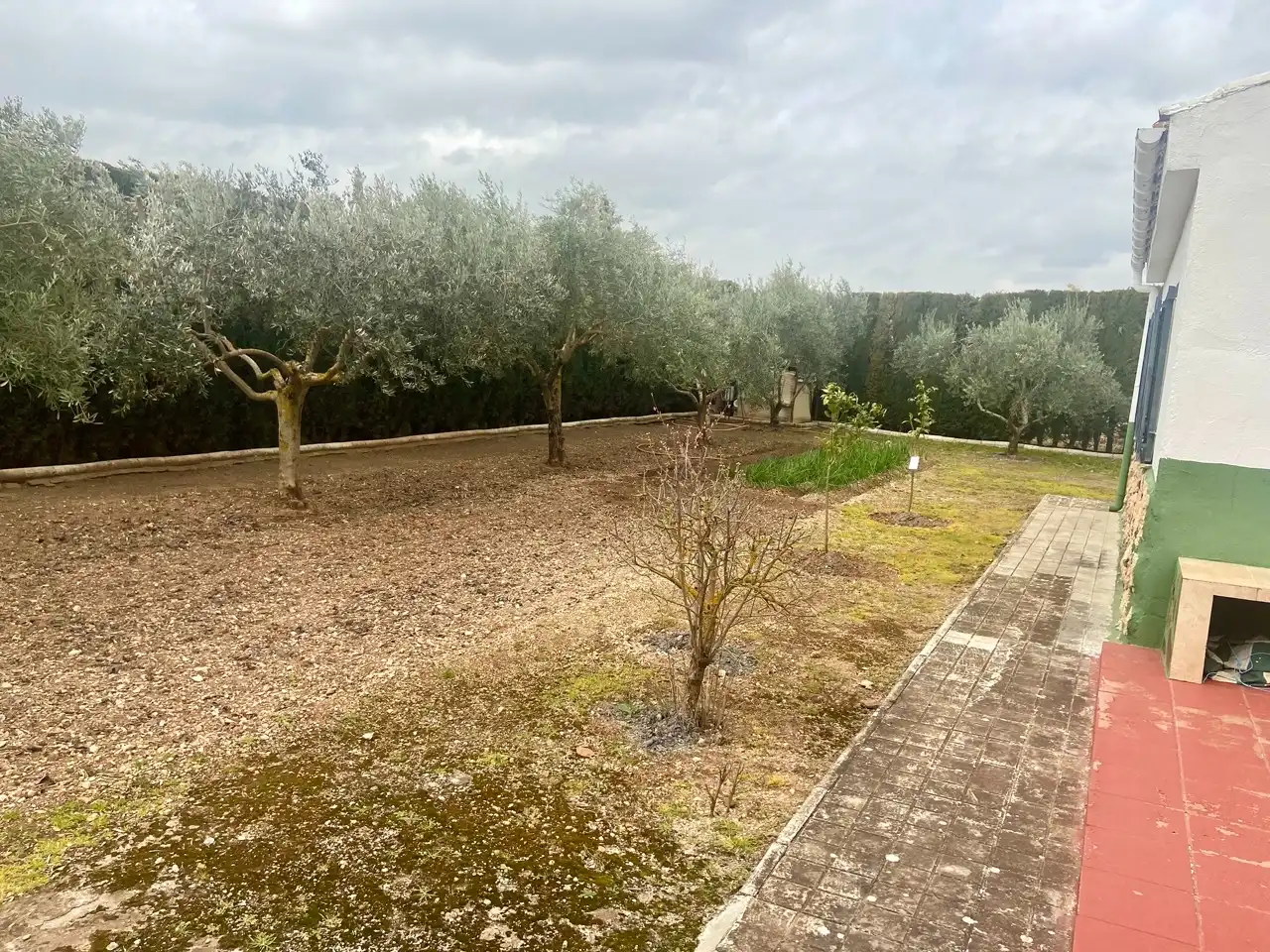 Casa o xalet en venda en Ciudad Real amb Calefacció, Jardí privat i Traster