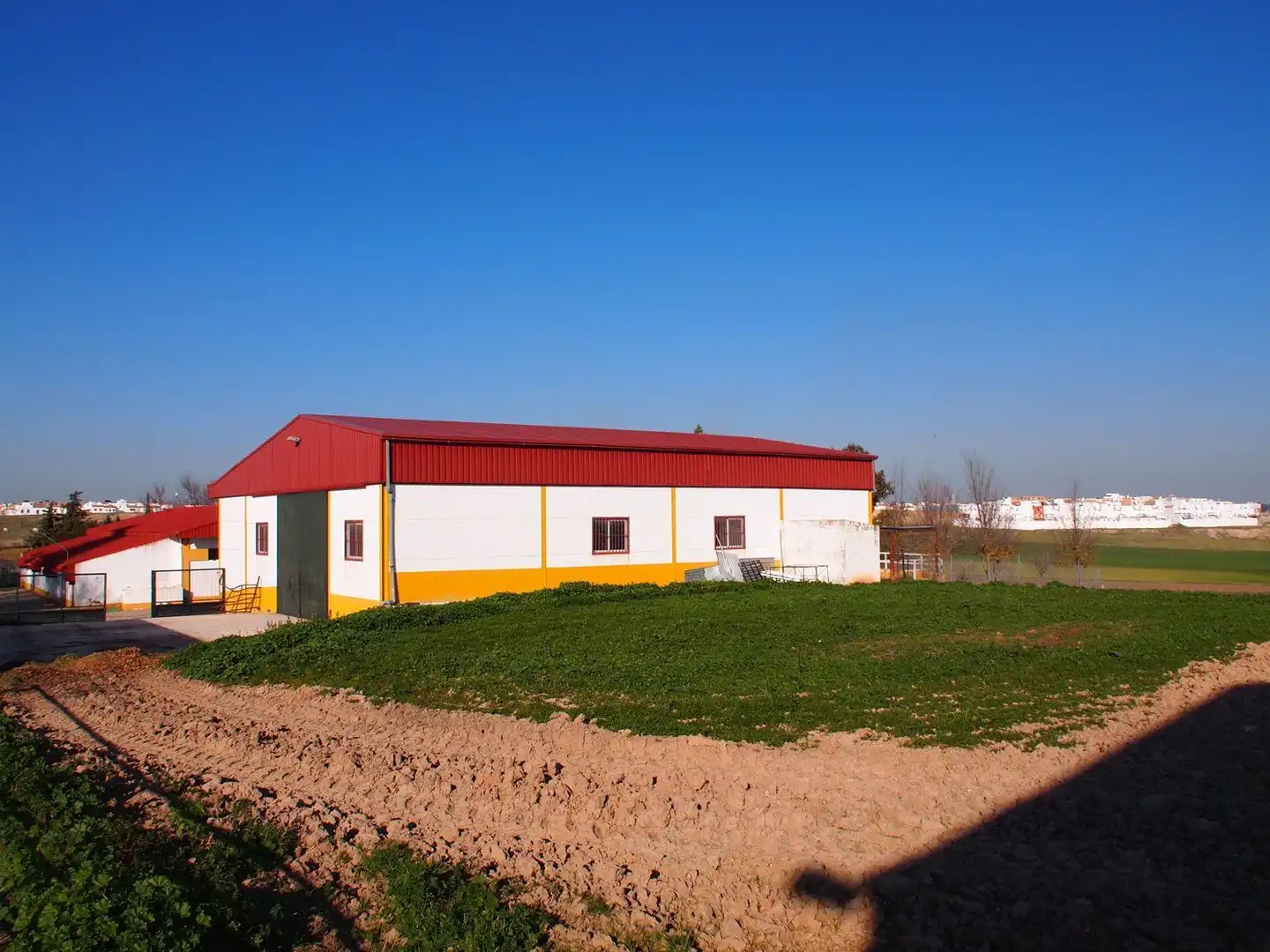 Exterior view of Country homes for sale in Marchena  with Terrace and Swimming Pool