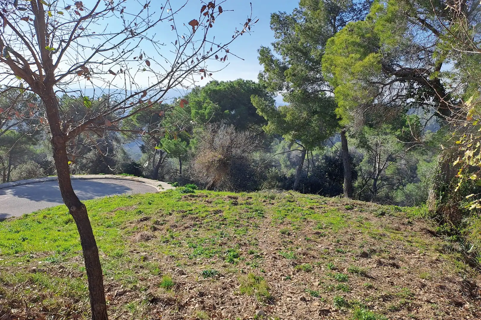 Lands and plots for sale in CANIGO, imagen 7
