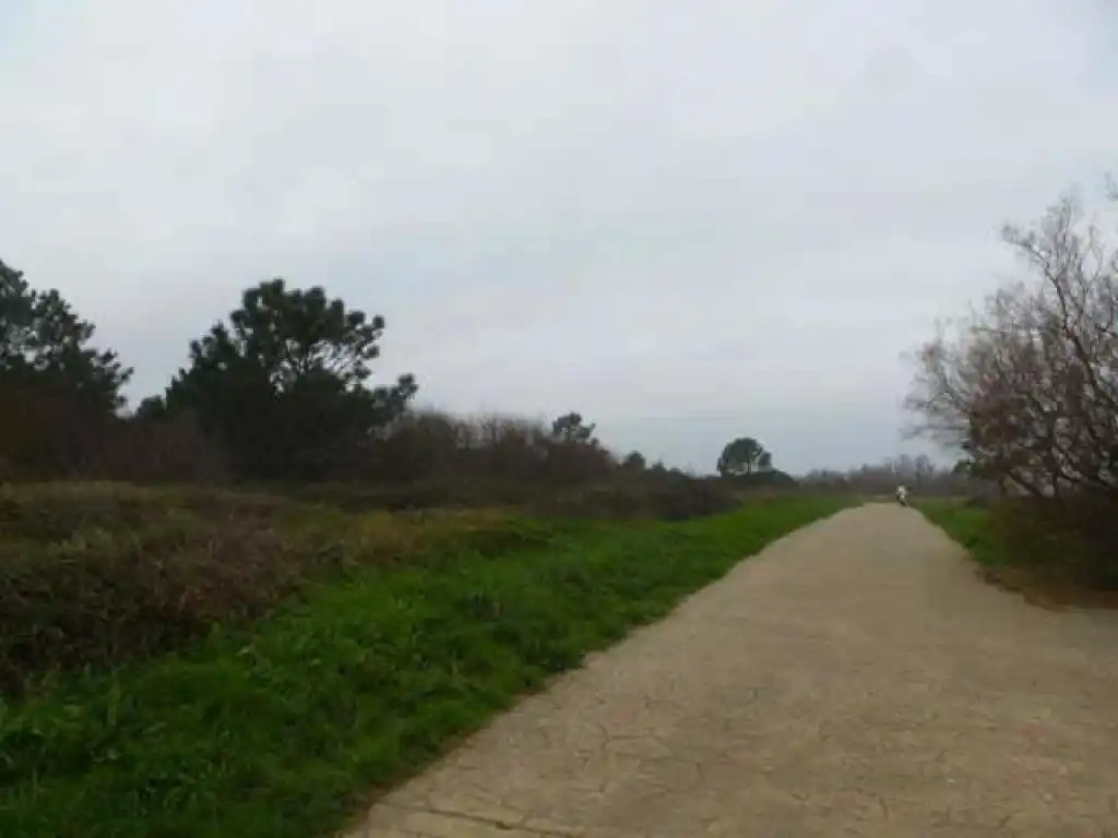 Wohnbaugrundstück zum Verkauf in Santa María de Getxo, imagen 2