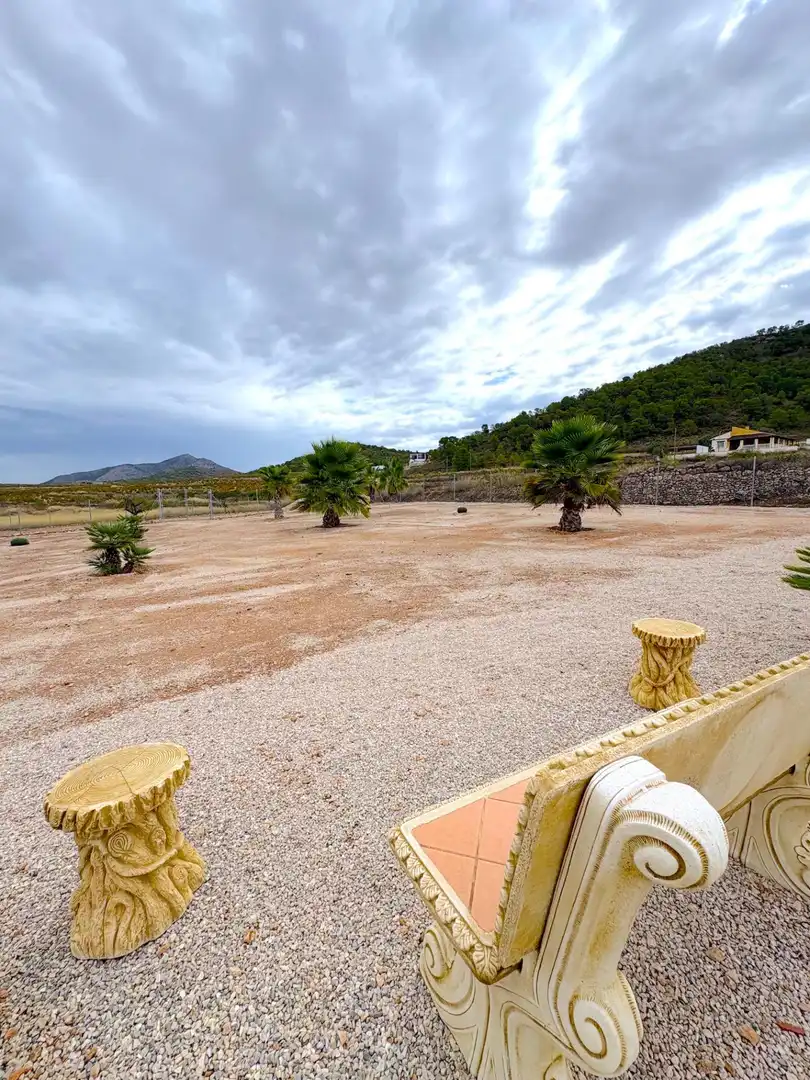 Villa avec piscine à vendre à El Altico, imagen 45