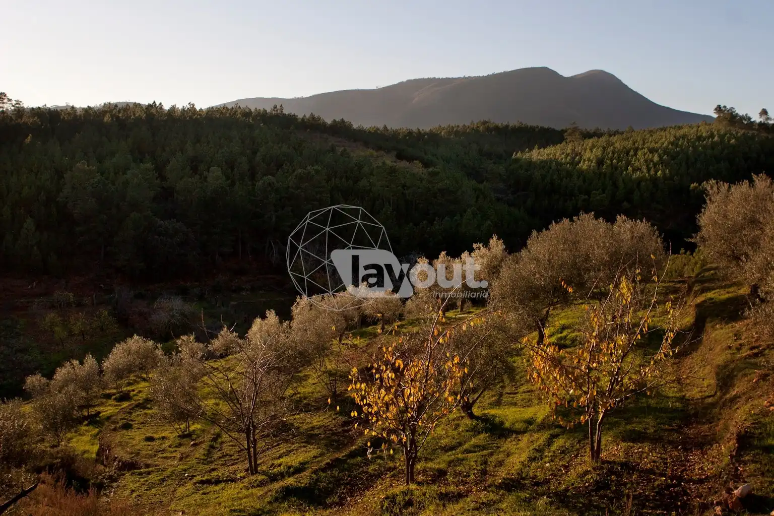 Houses for sale in Salamanca-Coria, Caminomorisco