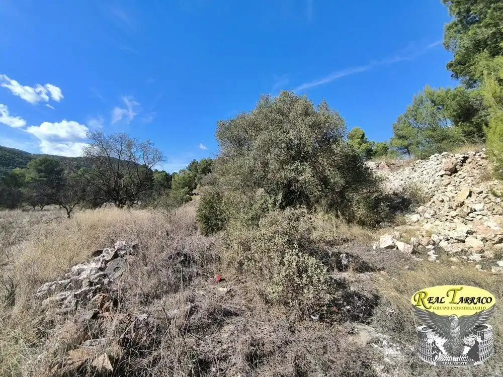 Grundstücke zum Verkauf in Vilaverd