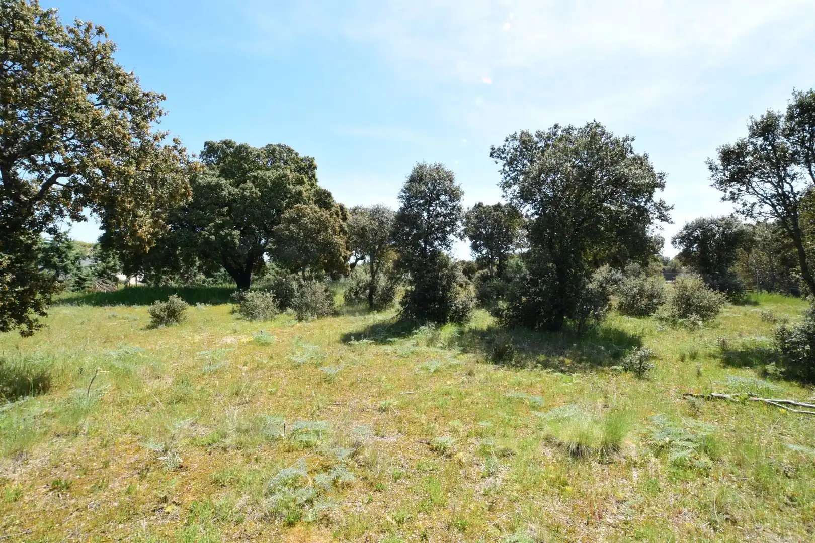 Residential for sale in Maello