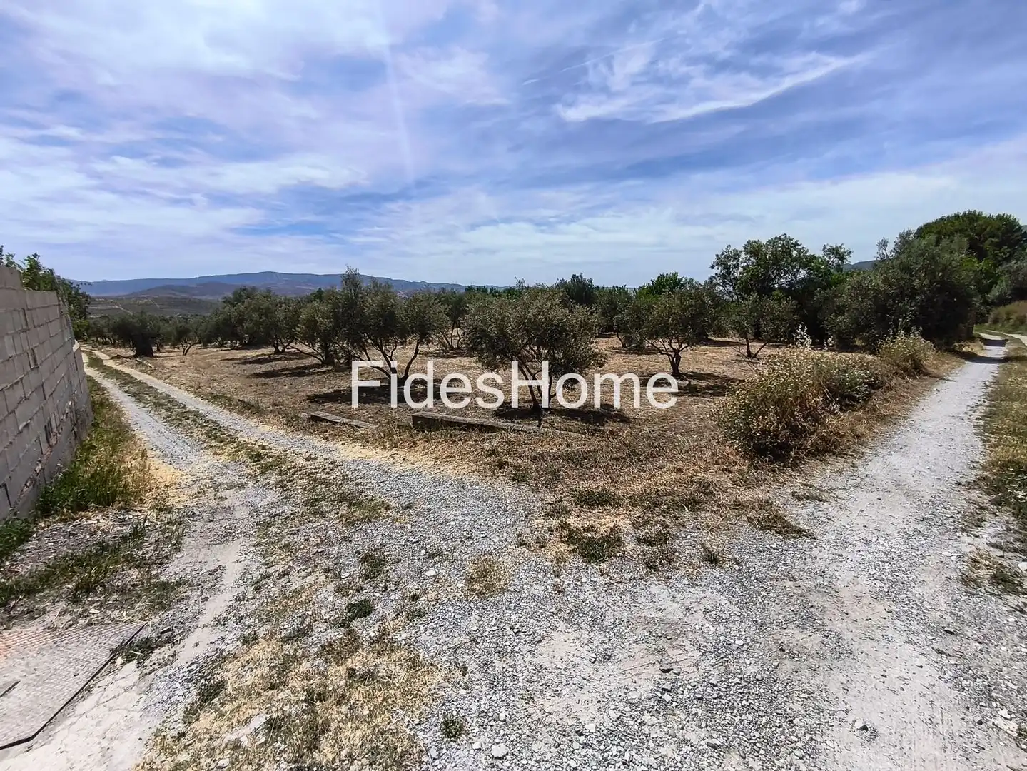 Rural land for sale in XFJ3+526 Nigüelas 0, imagen 7