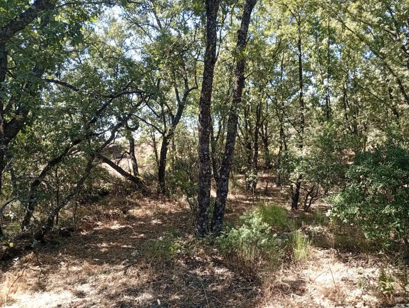 Terreni e lotti in vendita a Villanueva de la Vera, imagen 49