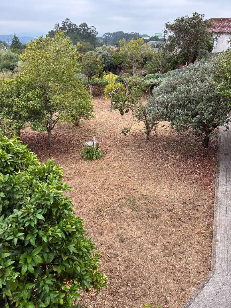 Xalet en venda a Vilanova de Arousa, imagen 58