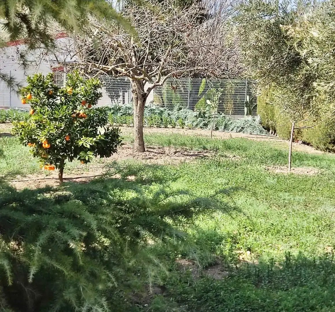 Houses for sale in Jaén  with Air Conditioner, Heating and Private garden